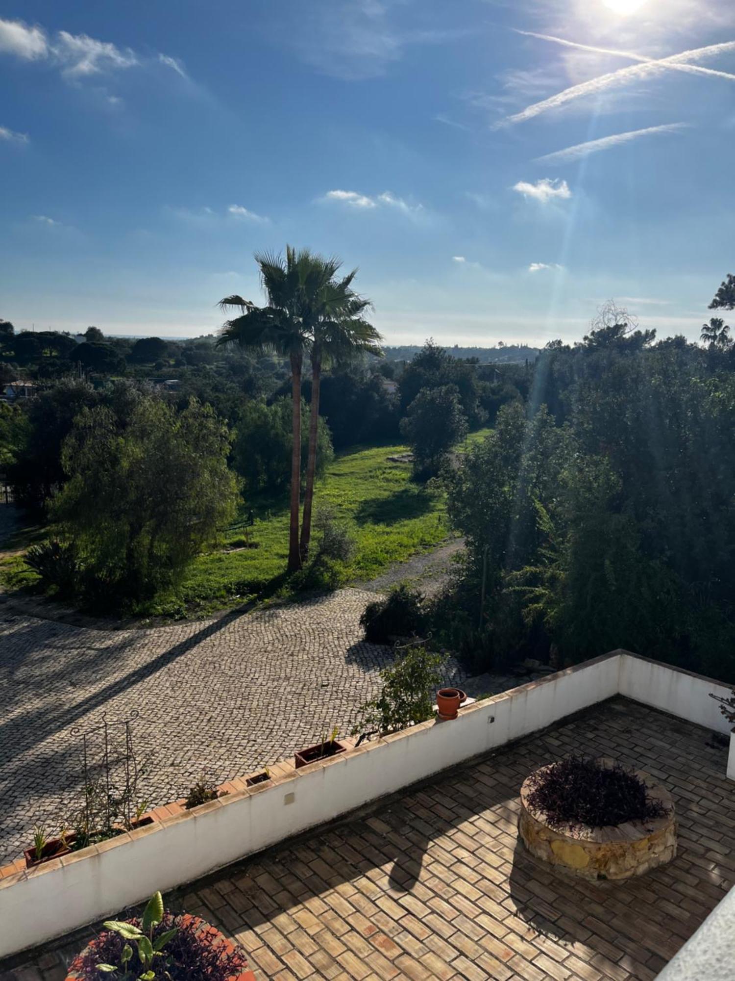 The Lemon Tree Villa Moncarapacho Εξωτερικό φωτογραφία